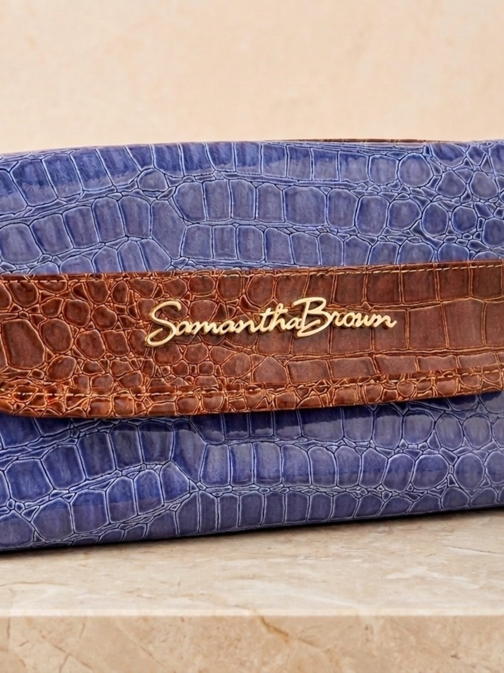 Samantha Brown Blue & Brown Croc-Embossed Cosmetic Case